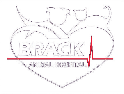 Veterinarians in Windsor | Brack Animal Hospital